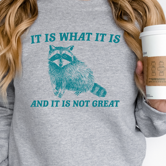 It Is What It Is (Racoon)